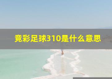 竞彩足球310是什么意思