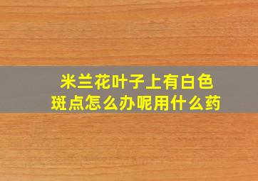 米兰花叶子上有白色斑点怎么办呢用什么药