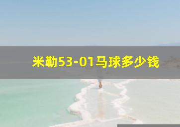 米勒53-01马球多少钱