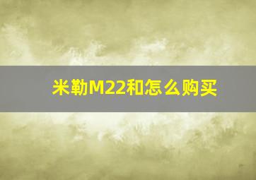 米勒M22和怎么购买