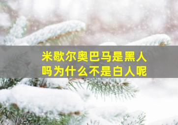 米歇尔奥巴马是黑人吗为什么不是白人呢