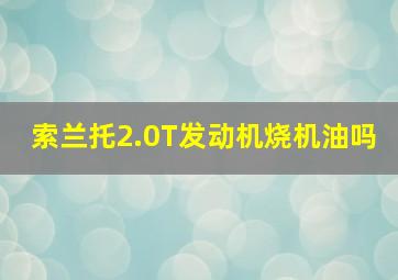 索兰托2.0T发动机烧机油吗