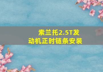 索兰托2.5T发动机正时链条安装