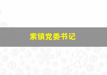 索镇党委书记