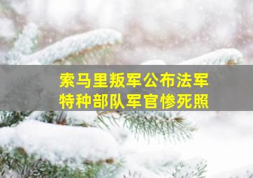 索马里叛军公布法军特种部队军官惨死照