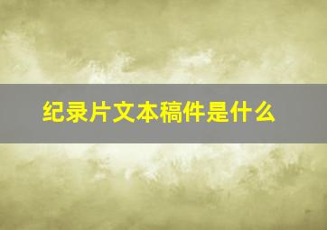 纪录片文本稿件是什么