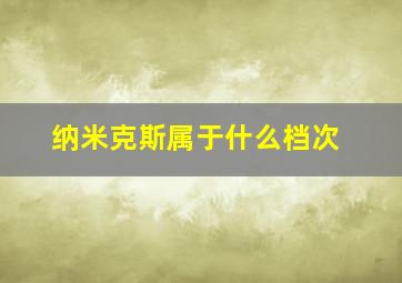 纳米克斯属于什么档次