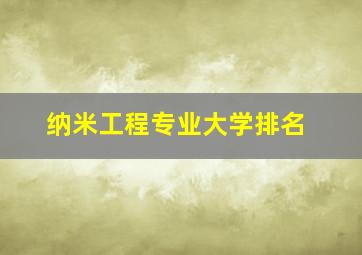 纳米工程专业大学排名