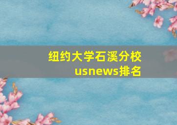 纽约大学石溪分校usnews排名