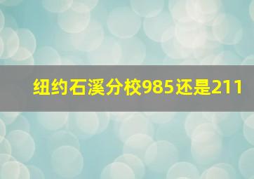 纽约石溪分校985还是211