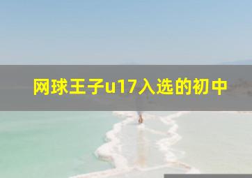 网球王子u17入选的初中