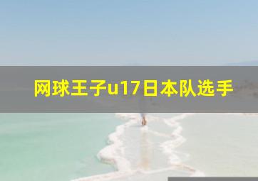 网球王子u17日本队选手