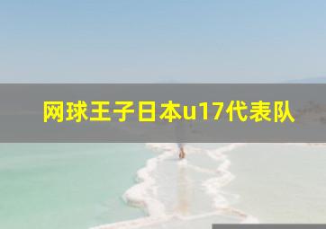 网球王子日本u17代表队