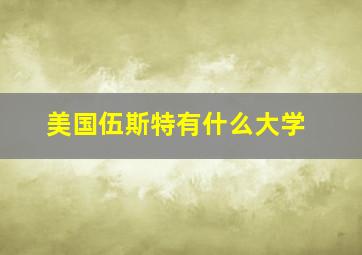 美国伍斯特有什么大学