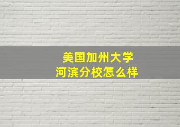 美国加州大学河滨分校怎么样