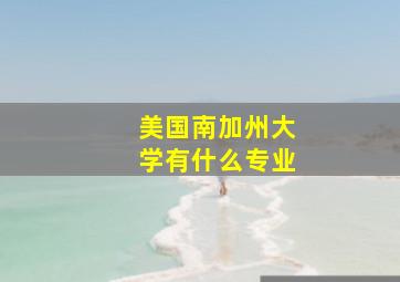 美国南加州大学有什么专业