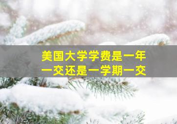 美国大学学费是一年一交还是一学期一交