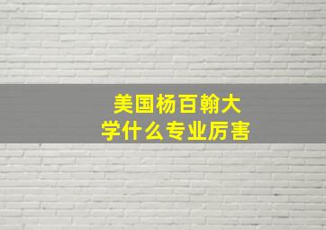 美国杨百翰大学什么专业厉害