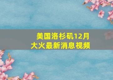 美国洛杉矶12月大火最新消息视频