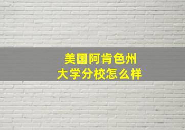 美国阿肯色州大学分校怎么样