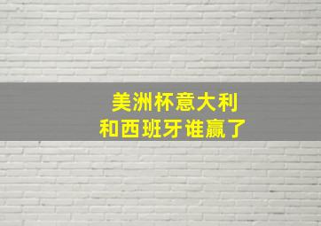 美洲杯意大利和西班牙谁赢了