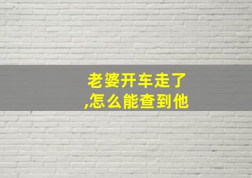 老婆开车走了,怎么能查到他