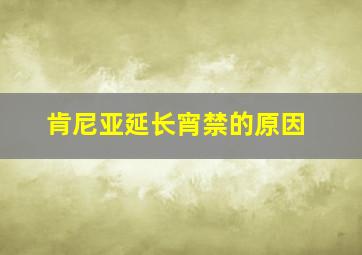 肯尼亚延长宵禁的原因