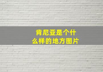 肯尼亚是个什么样的地方图片