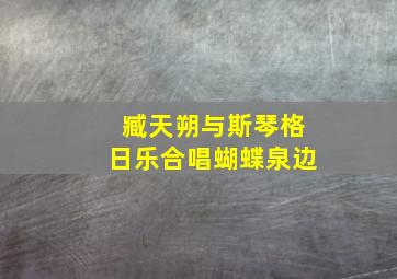 臧天朔与斯琴格日乐合唱蝴蝶泉边