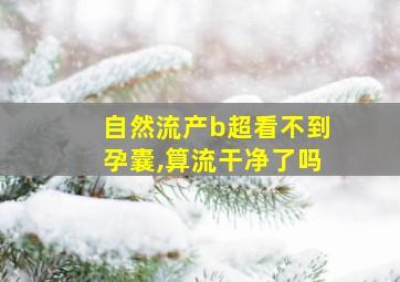 自然流产b超看不到孕囊,算流干净了吗