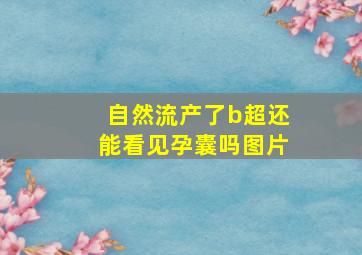 自然流产了b超还能看见孕囊吗图片