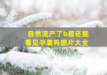 自然流产了b超还能看见孕囊吗图片大全