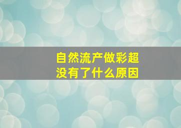 自然流产做彩超没有了什么原因