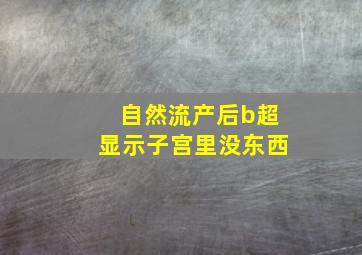 自然流产后b超显示子宫里没东西