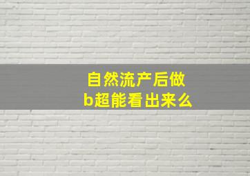 自然流产后做b超能看出来么