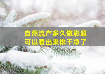 自然流产多久做彩超可以看出来排干净了