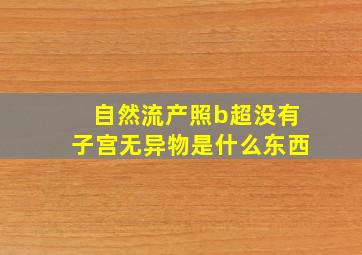 自然流产照b超没有子宫无异物是什么东西