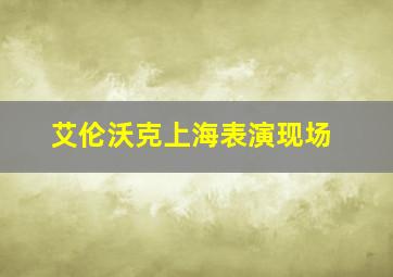 艾伦沃克上海表演现场