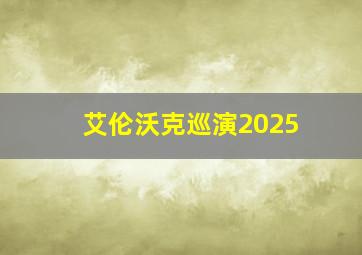 艾伦沃克巡演2025