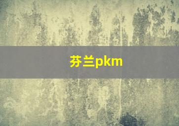 芬兰pkm