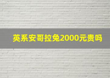 英系安哥拉兔2000元贵吗