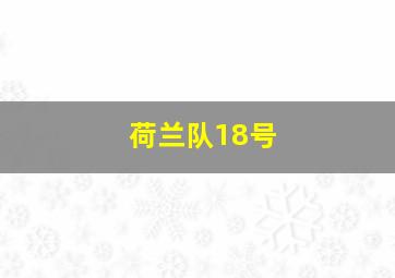 荷兰队18号