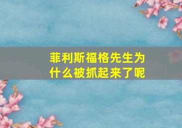 菲利斯福格先生为什么被抓起来了呢