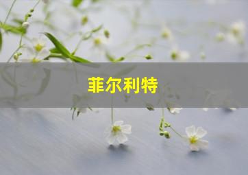 菲尔利特