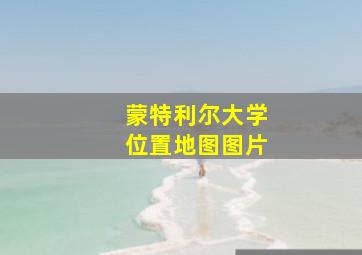 蒙特利尔大学位置地图图片