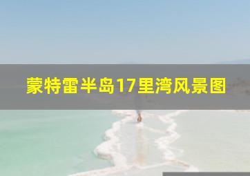 蒙特雷半岛17里湾风景图