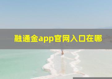 融通金app官网入口在哪