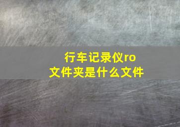 行车记录仪ro文件夹是什么文件