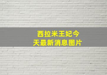 西拉米王妃今天最新消息图片