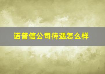 诺普信公司待遇怎么样